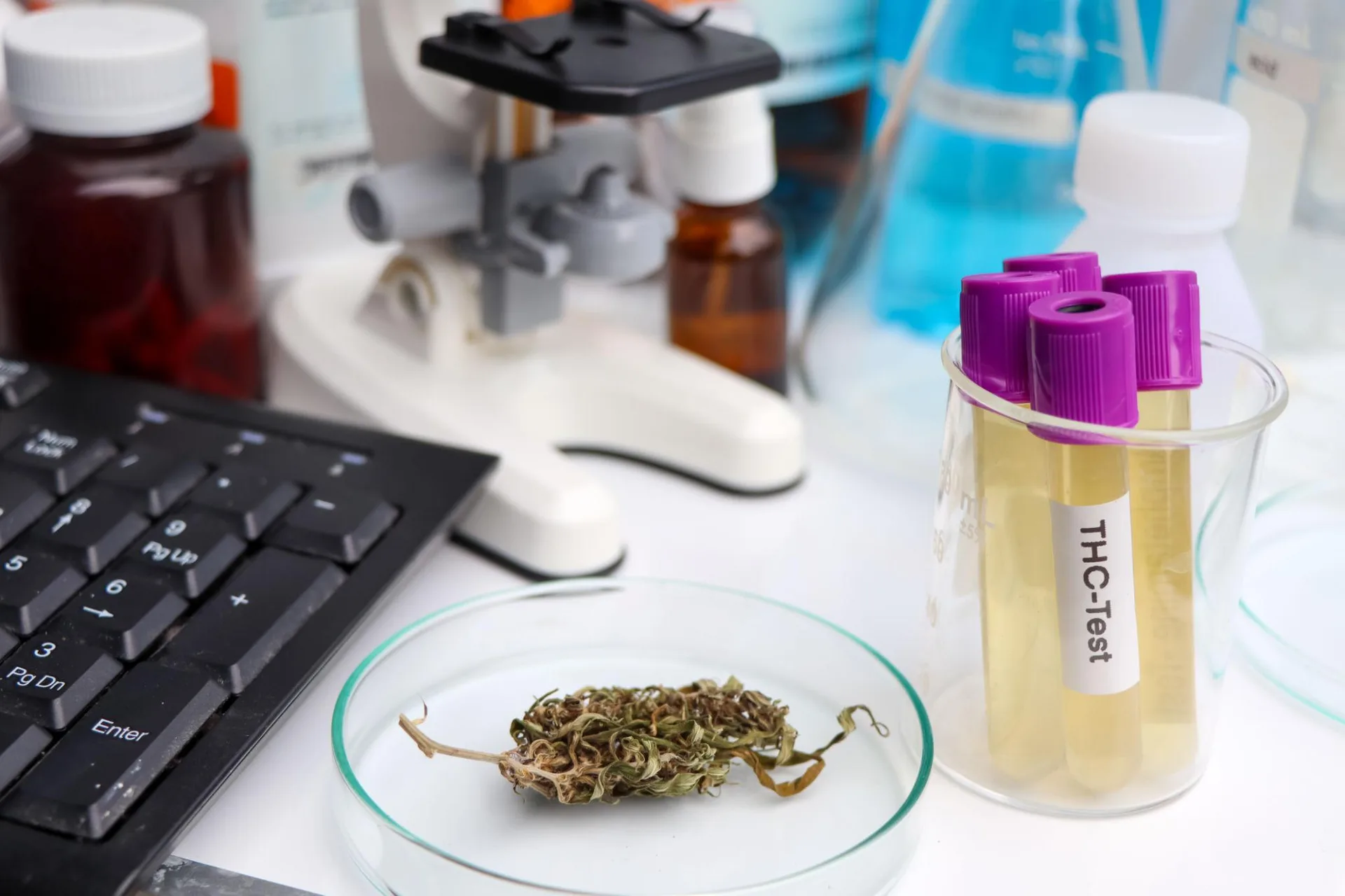 THC-Test