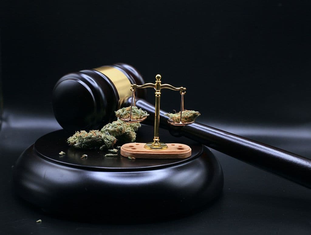 Die Legalisierung von Cannabis und die Auswirkung auf die MPU